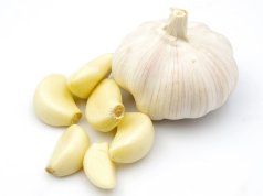 Garlic2